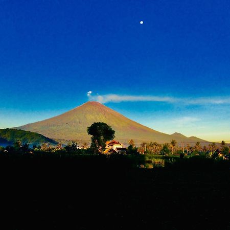 D'Uma Amed Homestay 외부 사진