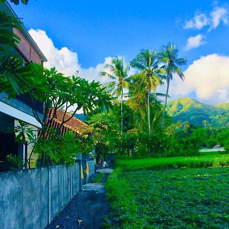 D'Uma Amed Homestay 외부 사진