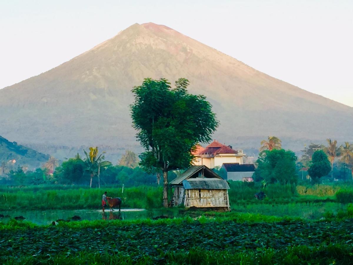 D'Uma Amed Homestay 외부 사진