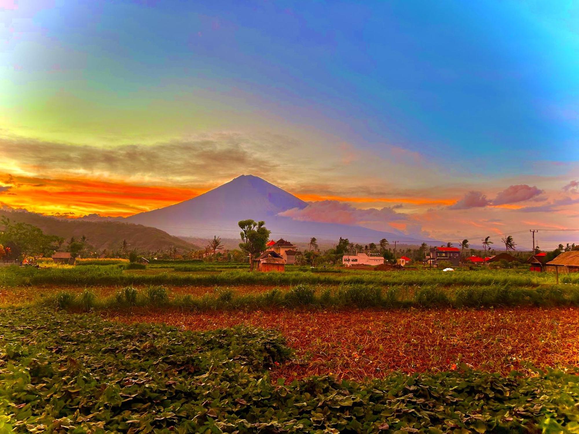 D'Uma Amed Homestay 외부 사진