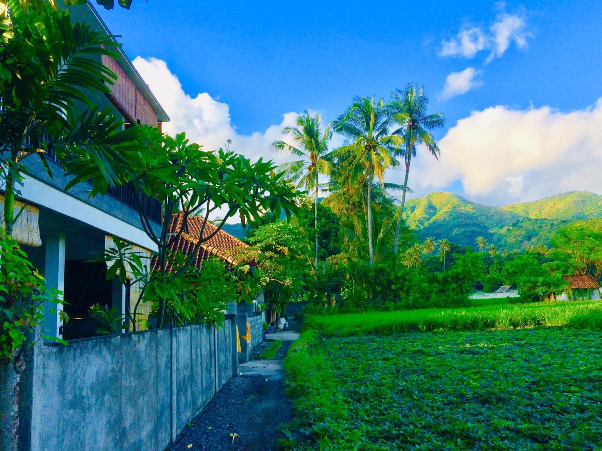D'Uma Amed Homestay 외부 사진