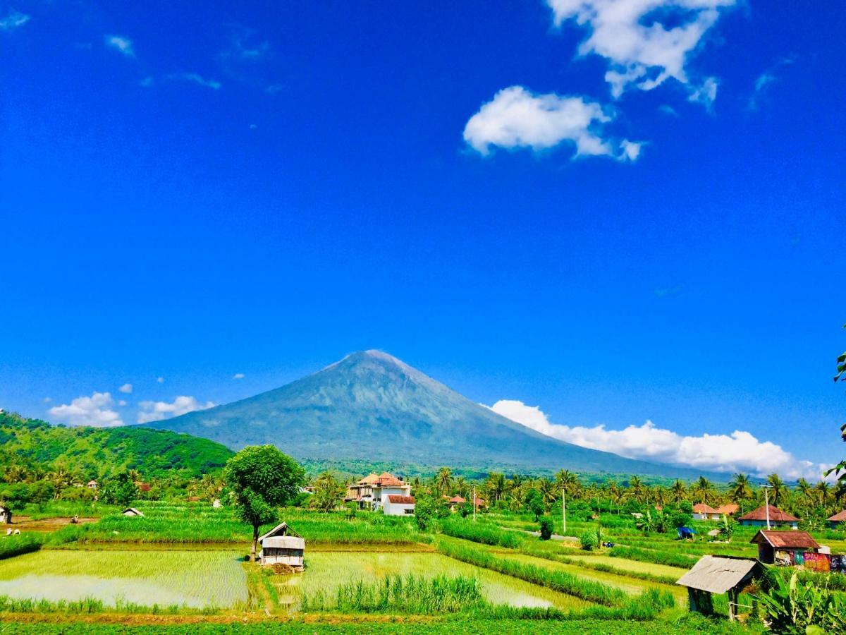 D'Uma Amed Homestay 외부 사진