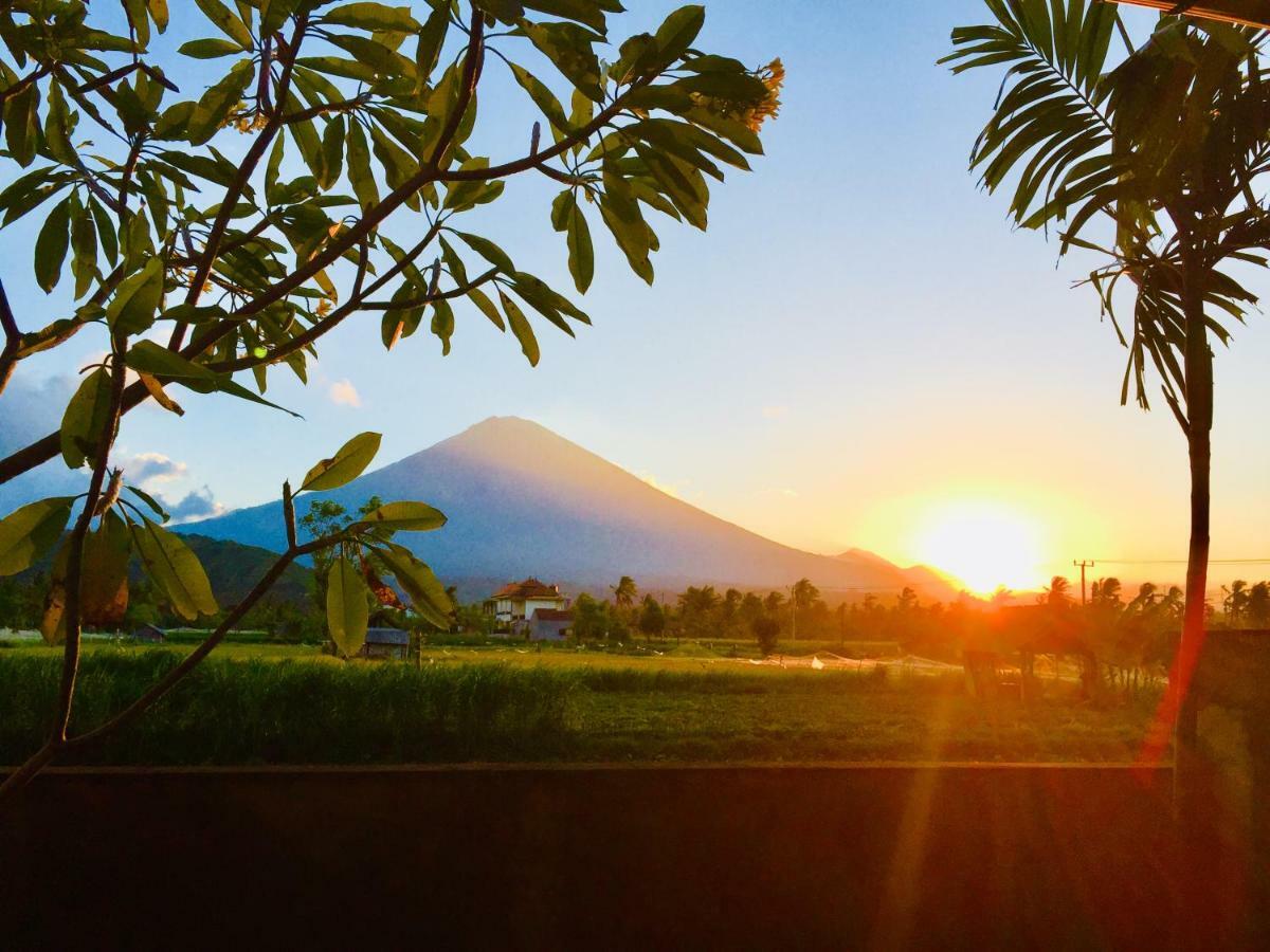 D'Uma Amed Homestay 외부 사진