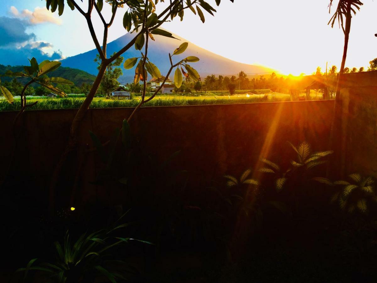 D'Uma Amed Homestay 외부 사진