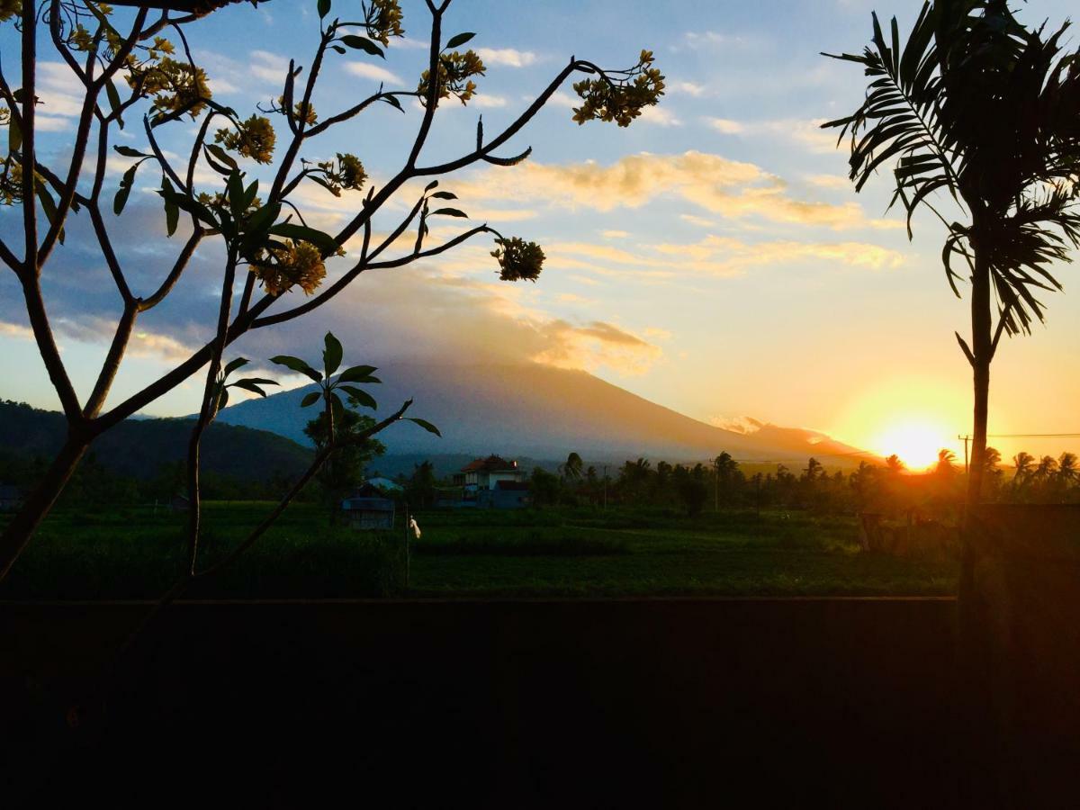 D'Uma Amed Homestay 외부 사진